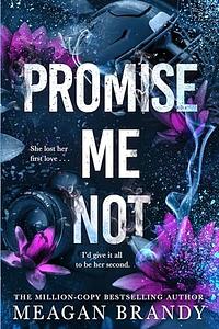 Promise Me Not by Meagan Brandy