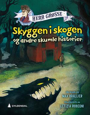 Skyggen i skogen og andre skumle historier by Max Brallier