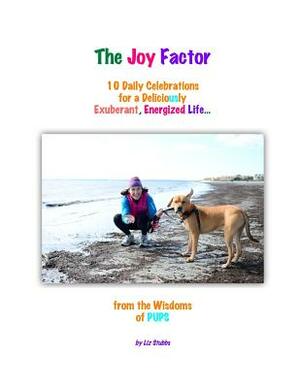 The Joy Factor: 10 Daily Celebrations for a Deliciously Exuberant, Energized Life by Liz Stubbs