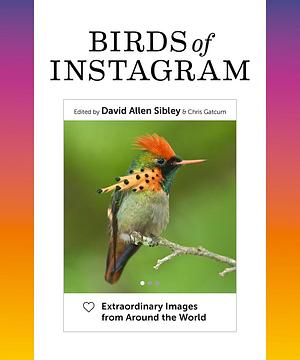 Birds of Instagram: Extraordinary Images from Around the World by David Allen Sibley, David Allen Sibley