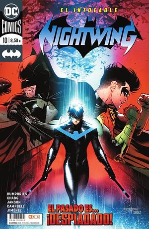 Nightwing, Vol 10 by Dan Jurgens