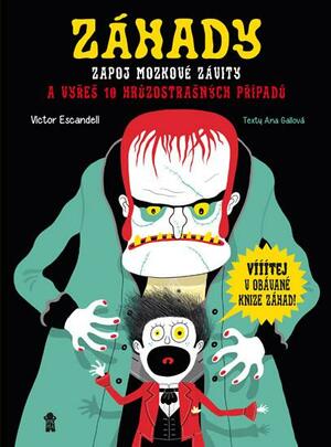 ZÁHADY - Zapoj mozkové závity a vyřeš 10 hrůzostrašných případů by Anna Gallo