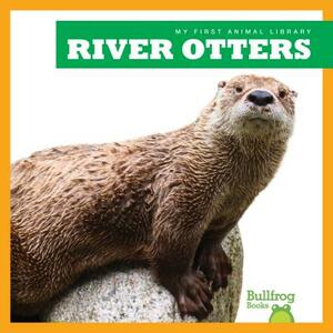 River Otters by Cari Meister