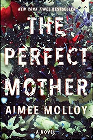 Den bästa mamman by Aimee Molloy