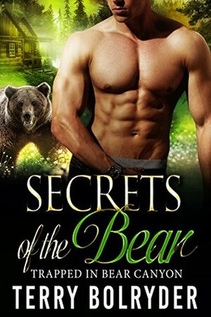 Secrets of the Bear by Terry Bolryder