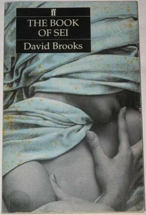 The Book Of Sei by David Brooks