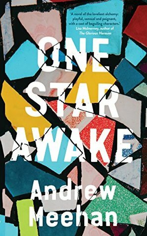 One Star Awake by Andrew Meehan