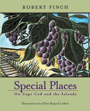 Special Places on Cape Cod & Islands by Robert Finch