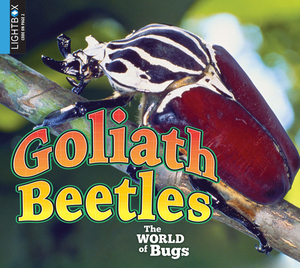 Goliath Beetles by Jared Siemens