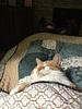 bia_veiga's profile picture
