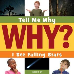 I See Falling Stars by Tamra B. Orr