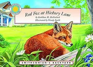 Red Fox at Hickory Lane by Kathleen M. Hollenbeck