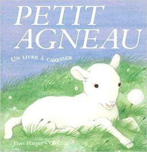 Petit agneau by Piers Harper, Fernleigh Books