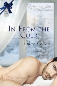 In From the Cold by Shae Connor