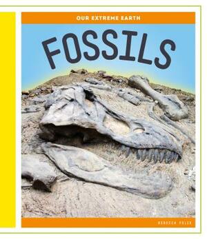 Fossils by Rebecca Felix