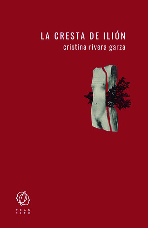 La cresta de Ilión by Cristina Rivera Garza