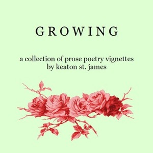 GROWING: a collection of prose poetry vignettes (Dictionary Poems, #1) by Keaton St. James