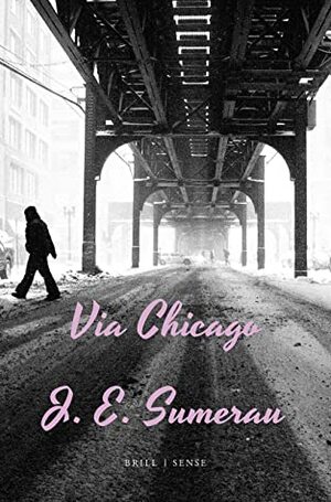 Via Chicago (Social Fictions) by J.E. Sumerau