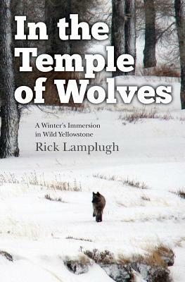 In the Temple of Wolves: A Winter's Immersion in Wild Yellowstone by Rick Lamplugh