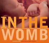 In the Womb: Witness the Journey from Conception to Birth through Astonishing 3D Images by Heidi Murkoff, Toby MacDonald, Peter Tallack