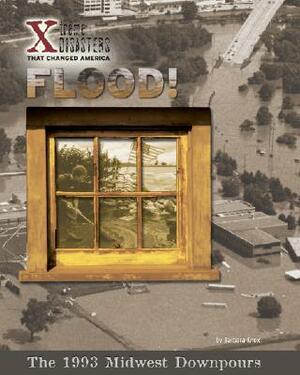 Flood!: The 1993 Midwest Downpours by Barbara Knox