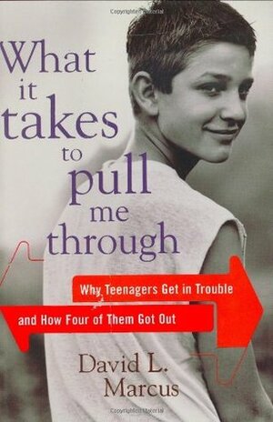 What It Takes to Pull Me Through: Why Teenagers Get in Trouble and How Four of Them Got Out by David L. Marcus