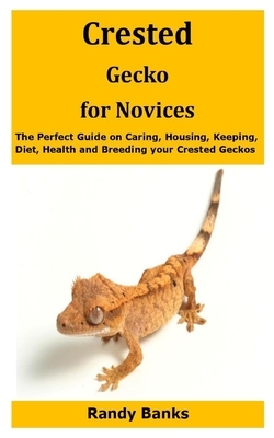 Crested Gecko for Novices: The Perfect Guide on Caring, Housing, Keeping, Diet, Health and Breeding your Crested Geckos by Randy Banks