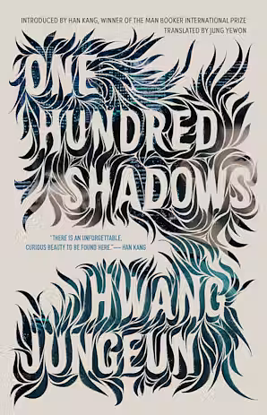 One Hundred Shadows by Hwang Jungeun