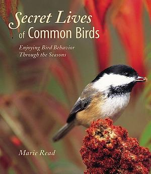 Secret Lives of Common Birds: Enjoying Bird Behavior Through the Seasons by Marie Read