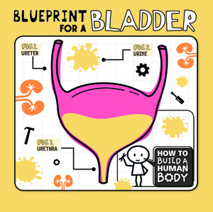 Blueprint for a Bladder by Kirsty Holmes