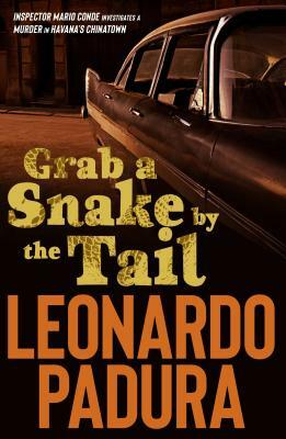 Grab a Snake by the Tail: A Murder in Havana's Chinatown by Leonardo Padura
