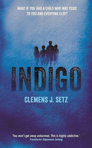 Indigo by Clemens J. Setz