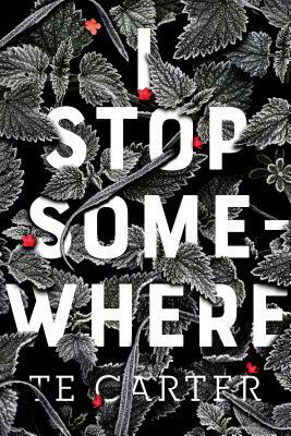 I Stop Somewhere by T.E. Carter