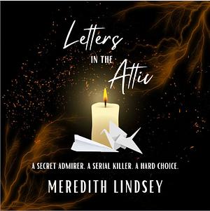 Letters in the Attic by Meredith Lindsey