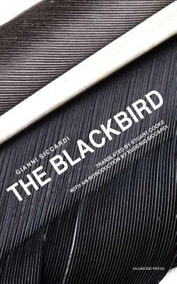 The Blackbird by Gianni Siccardi