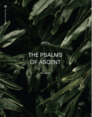 The Psalms of Ascent by She Reads Truth