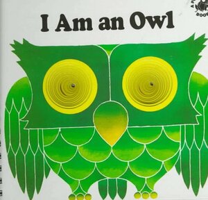 I Am an Owl by Yvonne Hooker