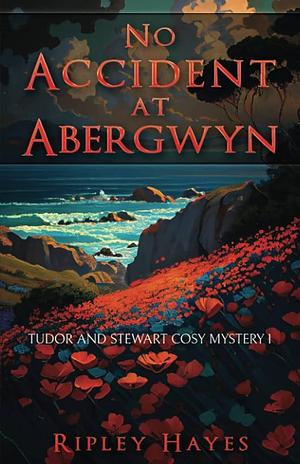 No Accident at Abergwyn: Tudor and Stewart Cosy Mystery 1 by Ripley Hayes, Ripley Hayes