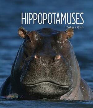 Hippopotamuses by Melissa Gish