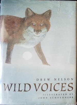 Wild Voices by Drew Nelson