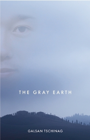 The Gray Earth by Galsan Tschinag, Katharina Rout
