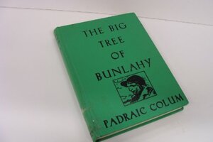 The Big Tree of Bunlahy: Stories of My Own Countryside by Padraic Colum