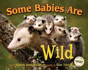 Some Babies Are Wild by Marion Dane Bauer