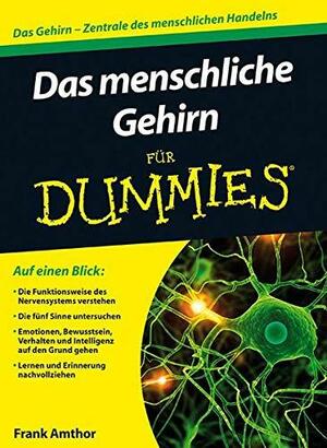 Das Menschliche Gehirn für Dummies by Frank Amthor