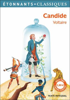 CANDIDE by Patricia Barbarin, Jean-Philippe Marty, Hélène Clevy, Voltaire