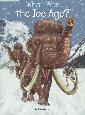 What Was the Ice Age? by Nico Medina