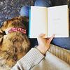 slinging_books's profile picture