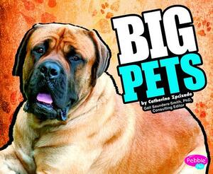 Big Pets by Catherine Ipcizade