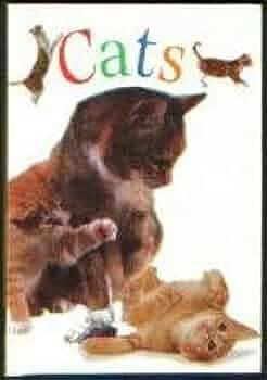 Cats by Sarah Allen