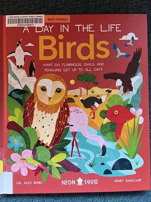 Birds (A Day in the Life): What Do Flamingos, Owls, and Penguins Get Up To All Day? by Alex Bond, Neon Squid